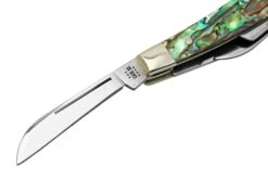 Case Small Congress 12026 Smooth Abalone, Navaja Con Velvet Box 2 Case Small Congress 12026 Smooth Abalone, Navaja Con Velvet Box -Mejor Cuchillos Tienda CE12026 03 case