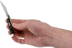 Case Peanut Rough Black Synthetic, 18225, 6220 SS Navaja -Mejor Cuchillos Tienda CE18225 05 case