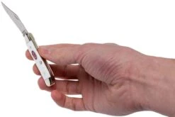 Case Peanut SparXX White Synthetic, 60188, 6220 SS Navaja -Mejor Cuchillos Tienda CE60188 10 case ce60188 10