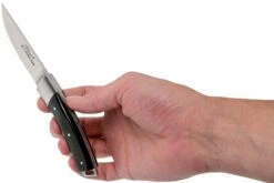 Le Thiers Pocket Cuerno De Búfalo Crudo T8BB Navaja Por Fontenille Pataud -Mejor Cuchillos Tienda FPT8BB 08 fontenille pataud