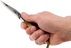 Forge Laguiole 12110INCABDF, Cuerno Aubrac -Mejor Cuchillos Tienda LA12110INCABDF 07 forge de laguiole la12110incabdf 07