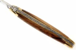 Forge Laguiole 1211PI, Madera De Pistache -Mejor Cuchillos Tienda LA1211PI 04 forge de laguiole vouwmes la1211pi d4