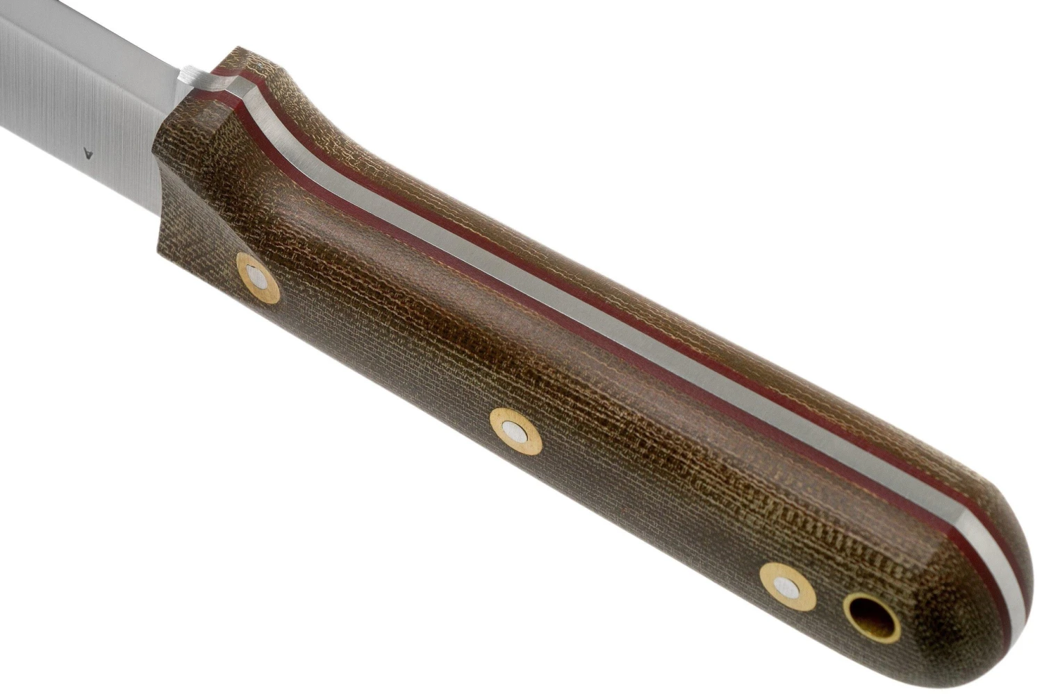 LT Wright Genesis Scandi Grind, A2, Matte Green Micarta, Red Liners, Leather sheath, cuchillo bushcraft LT Wright Genesis Scandi Grind, A2, Matte Green Micarta, Red Liners, Leather Sheath, Cuchillo Bushcraft -Mejor Cuchillos Tienda LT GEN SC GM RL LS 04 lt wright scaled